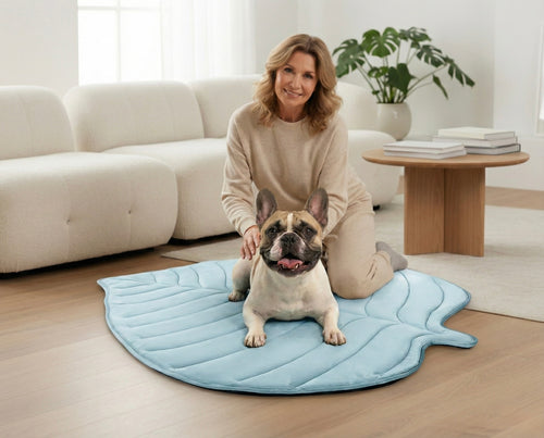 The FrenchieSafe™ Ice-Silk Leaf Pad (Anti-Overheat Edition)